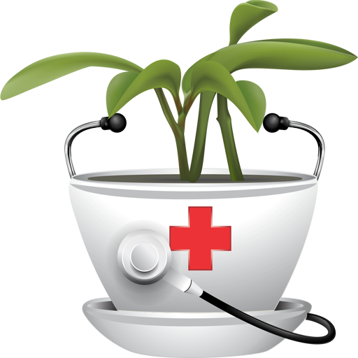 persian Traditional Medicine and pharmacy Department 